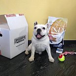 Рубрика «Дино дня!». Присоединяйтесь и вы к нам!