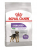 Royal Canin Mini Sterilised корм сухой для взрослых стерилизованных собак мелких размеров, склонных к набору веса