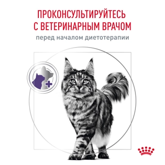 Паучи Royal Canin Neutered Maintenance для взрослых стерилизованных кошек