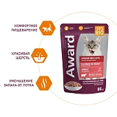 Паучи Award Indoor big cats для взрослых домашних кошек крупных пород кусочки в соусе с говядиной