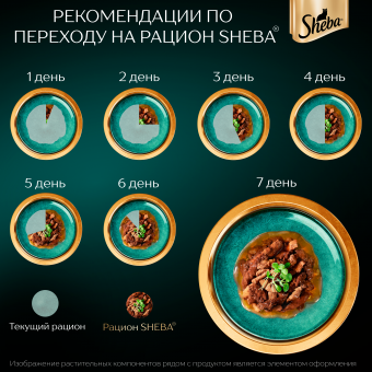 Паучи Sheba для кошек паштет из говядины в желе