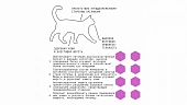Сухой Корм AJO Cat Delicate Taste для привередливых кошек и котят Сухой Корм AJO Cat Delicate Taste для привередливых кошек и котят