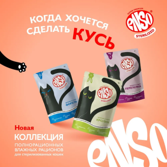 Паучи Enso Sterilized для взрослых стерилизованных кошек кусочки в соусе с форелью