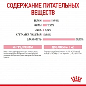 Консервы Royal Canin Babycat Instinctive (мусс) для котят с момента рождения до 4 месяцев Консервы Royal Canin Babycat Instinctive (мусс) для котят с момента рождения до 4 месяцев