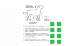 Корм AJO Dog Hypoallergenic с гречкой для взрослых собак средних и крупных пород,...