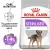 Royal Canin Mini Sterilised корм сухой для взрослых стерилизованных собак мелких размеров, склонных к набору веса