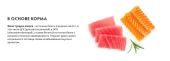 Консервы Grandorf Fresh для взрослых кошек филе тунца с филе лосося в желе
