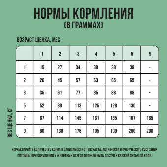 Корм Bowl Wow для щенков мелких пород с индейкой, рисом и шпинатом