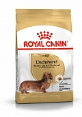 Royal Canin Dachshund Adult корм сухой для взрослых собак породы Такса от 10 месяцев