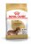 Royal Canin Dachshund Adult корм сухой для взрослых собак породы Такса от 10 месяцев Royal Canin Dachshund Adult корм сухой для взрослых собак породы Такса от 10 месяцев
