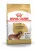 Royal Canin Dachshund Adult корм сухой для взрослых собак породы Такса от 10 месяцев Royal Canin Dachshund Adult корм сухой для взрослых собак породы Такса от 10 месяцев