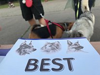 Дегустация в зоомагазине «Динозаврик» (Ул.Снежная, д.16к6)!