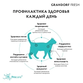 Сухой Корм Grandorf Fresh Cat Salmon свежее филе лосося с бататом для взрослых кошек Сухой Корм Grandorf Fresh Cat Salmon свежее филе лосося с бататом для взрослых кошек