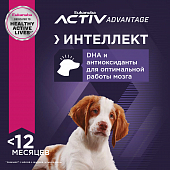 Eukanuba Puppy Medium Breed <12 months корм сухой для щенков средних пород в возрасте до года