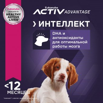 Eukanuba Puppy Medium Breed <12 months корм сухой для щенков средних пород в возрасте до года