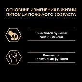 Сухой Корм Purina Pro Plan Senior 7+ Salmon для пожилых кошек с лососем Сухой Корм Purina Pro Plan Senior 7+ Salmon для пожилых кошек с лососем