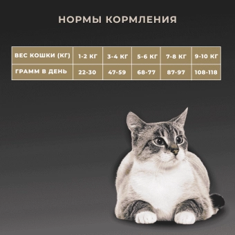 Сухой корм Premier для любых кошек с чувствительным пищеварением или склонных к аллергии, свежее мясо ягненка с индейкой