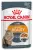 Royal Canin Intense Beauty корм консервированный для взрослых кошек в желе Royal Canin Intense Beauty корм консервированный для взрослых кошек в желе