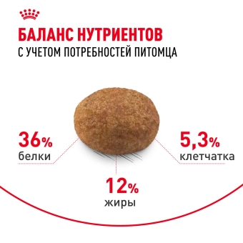 Корм для стерилизованных кошек Royal Canin Sterilised 7+ Корм сухой сбалансированный