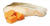 Консервы Farmina N&D Adult Mini Dog Ocean Cod&Pumpkin для собак мелких пород с треской и тыквой