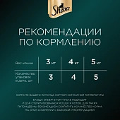 Паучи Sheba для кошек паштет из курицы в желе Паучи Sheba для кошек паштет из курицы в желе