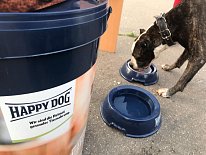 Дегустация в зоомагазине «Динозаврик» (Ул.Снежная, д.16к6)!