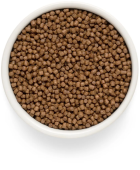 Сухой Корм Grandorf Fresh Cat Lamb Kitten свежее мясо ягненка с бататом для котят,...