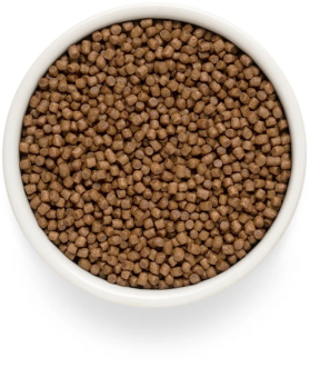 Корм Grandorf Fresh Cat Lamb Kitten свежее мясо ягненка с бататом для котят, беременных или кормящих кошек