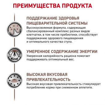 Royal Canin Gastrointestinal Moderate Calorie GIM 35 Feline корм сухой для кошек при расстройствах пищеварения