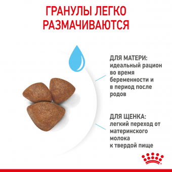 Royal Canin Mini Starter корм для щенков мелких размеров до 2-х месяцев, беременных и кормящих сук