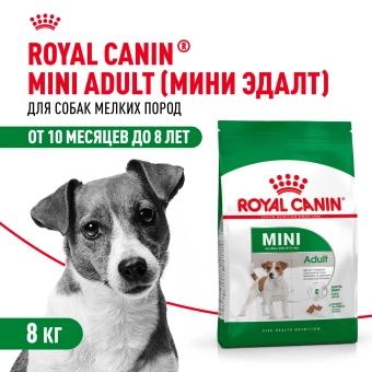 Корм для собак Royal Canin Mini Adult Корм сухой для взрослых собак мелких размеров от 10 месяцев