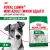 Корм для собак Royal Canin Mini Adult Корм сухой для взрослых собак мелких размеров от 10 месяцев Корм для собак Royal Canin Mini Adult Корм сухой для взрослых собак мелких размеров от 10 месяцев