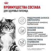 Сухой Корм Royal Canin Digestive Care для взрослых кошек с расстройством пищеварительной системы
