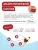 Ламистеры Best Dinner Vet Profi Gastrointestinal для кошек с чувствительным пищеварением нежный паштет из индейки