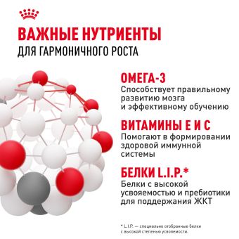 Корм для собак Royal Canin Medium Puppy Корм сухой для щенков средних размеров до 12 месяцев