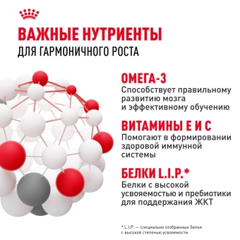 Корм для собак Royal Canin Medium Puppy Корм сухой для щенков средних размеров до 12 месяцев
