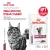 Паучи Royal Canin Renal для кошек для поддержания функции почек с рыбой в соусе Паучи Royal Canin Renal для кошек для поддержания функции почек с рыбой в соусе