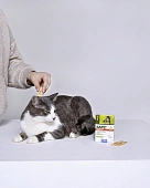Капли Барс Форте для котят от блох и клещей (3 пипетки) Капли Барс Форте для котят от блох и клещей (3 пипетки)