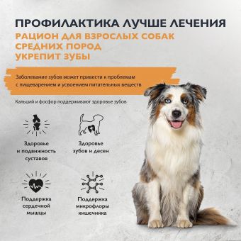 Корм Brit Care Dog Adult Dental Health для взрослых собак средних пород с индейкой дл яздоровых зубов