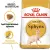 Royal Canin Sphynx Adult корм сухой сбалансированный для взрослых кошек породы Сфинкс от 12 месяцев Royal Canin Sphynx Adult корм сухой сбалансированный для взрослых кошек породы Сфинкс от 12 месяцев