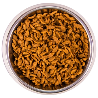 Корм Monge Cat Speciality Line Monoprotein Adult монопротеиновый для взрослых кошек из лосося