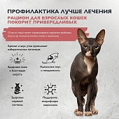 Сухой Корм Brit Care Cat Adult Delicious Taste для взрослых кошек с индейкой и уткой для привередливых Сухой Корм Brit Care Cat Adult Delicious Taste для взрослых кошек с индейкой и уткой для привередливых