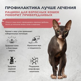 Корм Brit Care Cat Adult Delicious Taste для взрослых кошек с индейкой и уткой для привередливых
