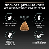 Сухой корм PRO PLAN® для взрослых собак средних пород с чувствительным пищеварением, с ягненком Сухой корм PRO PLAN® для взрослых собак средних пород с чувствительным пищеварением, с ягненком