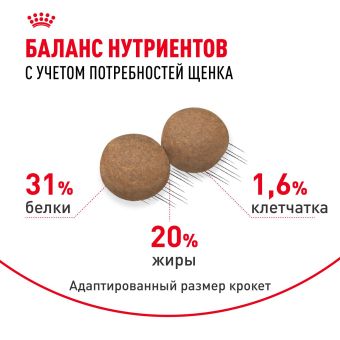 Корм для собак Royal Canin Корм Mini Puppy сухой для щенков мелких размеров до 8 месяцев