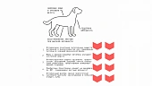 Сухой Корм AJO Dog Medium Adult с гречкой для взрослых собак средних пород Сухой Корм AJO Dog Medium Adult с гречкой для взрослых собак средних пород