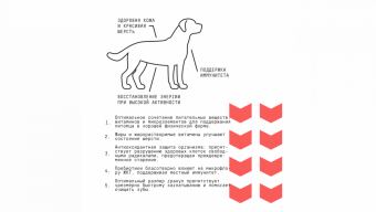 Корм AJO Dog Medium Adult с гречкой для взрослых собак средних пород