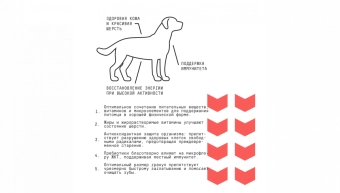 Корм AJO Dog Medium Adult с гречкой для взрослых собак средних пород