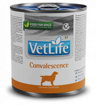 Консервы Farmina Vet Life Natural Diet Dog Convalescence для собак в период восстановления