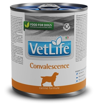 Консервы Farmina Vet Life Natural Diet Dog Convalescence для собак в период восстановления